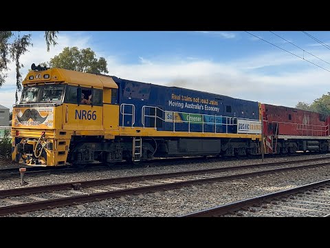 Pacific National freight: 2AM5 with NR66 (MOVEMBER livery) & NR75 (The Ghan livery)