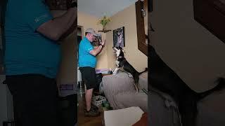 Video preview image #1 Mutt Puppy For Sale in Doylestown, PA, USA
