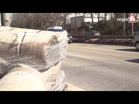 Streit um Stuttgarter Mooswand