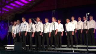 Hauka mannskor - Grågåsa