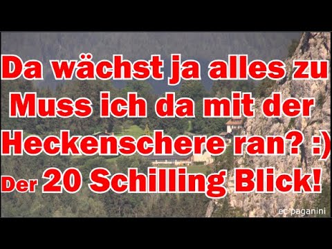 Da wächst ja alles zu! Muss ich da mit der Heckenschere ran? :-) Der 20 Schilling Blick "Rest"