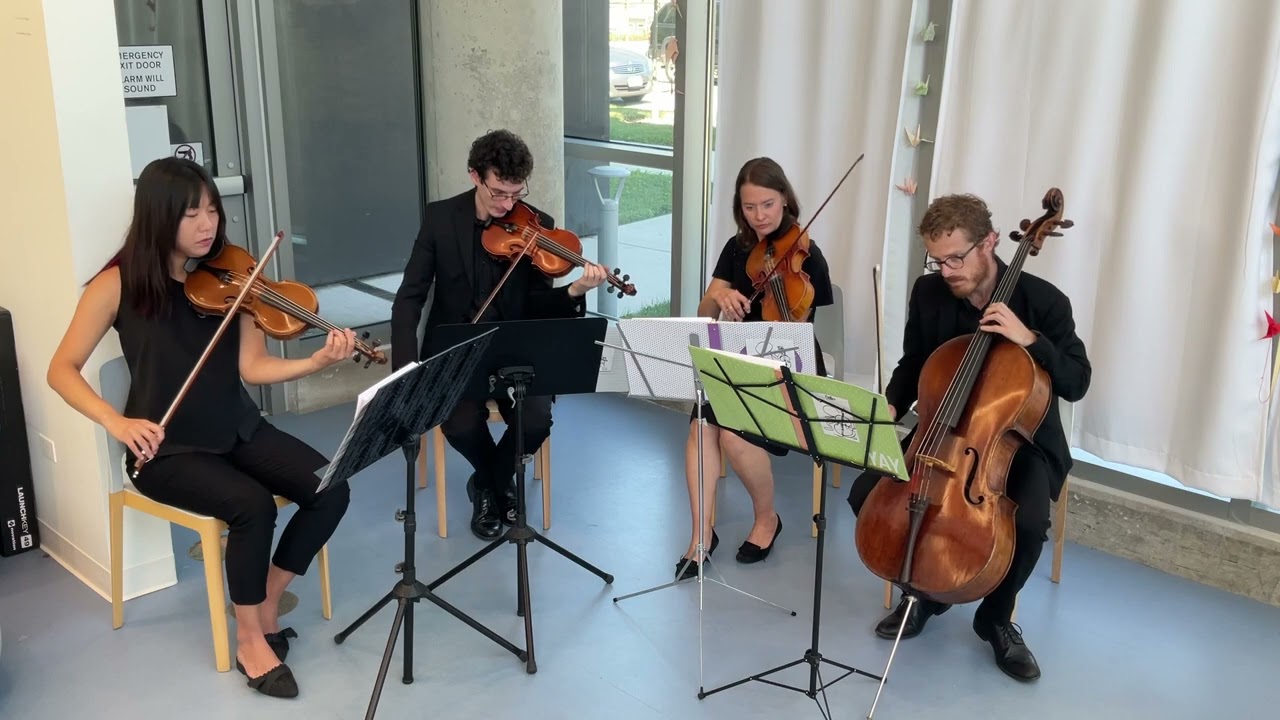 Promotional video thumbnail 11 for Windy City Strings