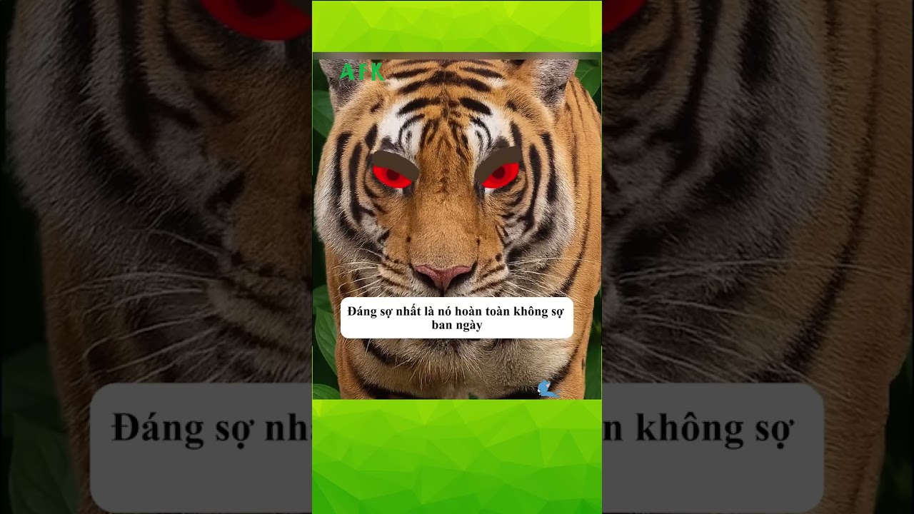 Con hổ nguy hiểm nhất lịch sử