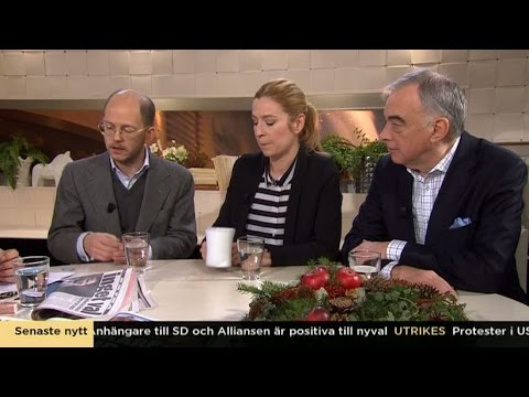 Lars Leijonborg: "Måste vara smart för att minska SD:s inflytande" - Nyhetsmorgon (TV4)