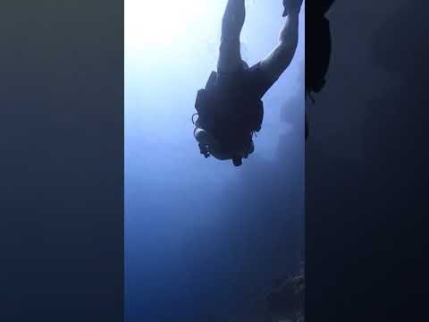 Scuba Diving in Red Sea Hurghad, Egypt:  Abo Ramada Dive site