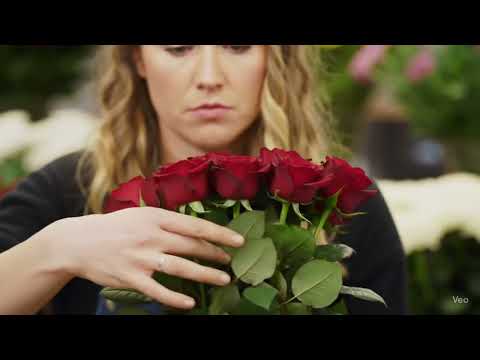 Flowers for every moment