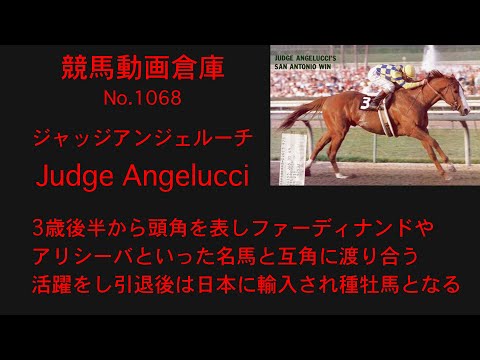 【競馬】ジャッジアンジェルーチ　Judge Angelucci【No1068】