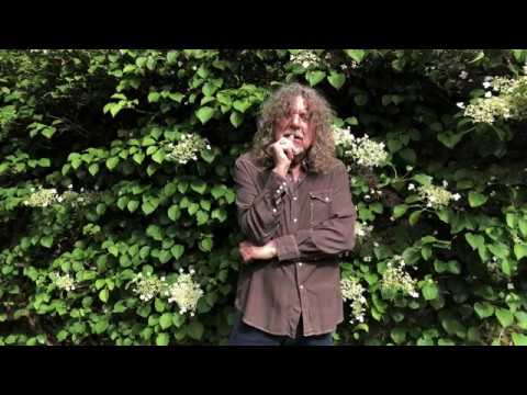 Thumbnail for Robert Plant's Favorite John Prine Song - Songwriter's Hall of Fame by John Prine