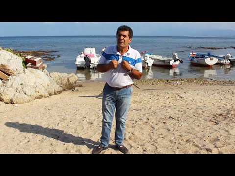 Dario Colombo - Zi turi (Ufficiale 2019) Official Seamusica