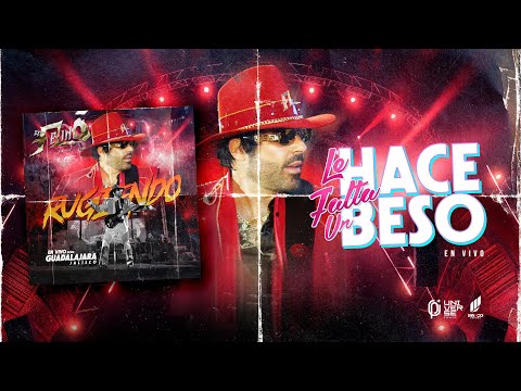 El Felino Farid Aun - Le Hace Falta Un Beso (En Vivo)