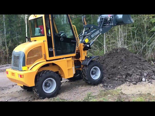736381 Wheel loader Multiloader L18 with implements 2019