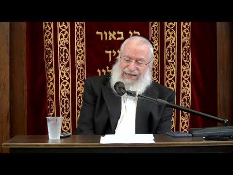 Endangering Yourself to Save Others | Shiur by Rav Asher Weiss Shlit"a