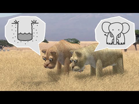 Savanna version - Was Locked Up