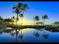 Without you anne Murray 