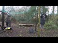 Netting Our Chicken Run In Line With DEFRA Regulations On Avian Influenza Bird Flu