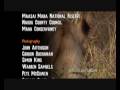 Big Cat Diary Titles