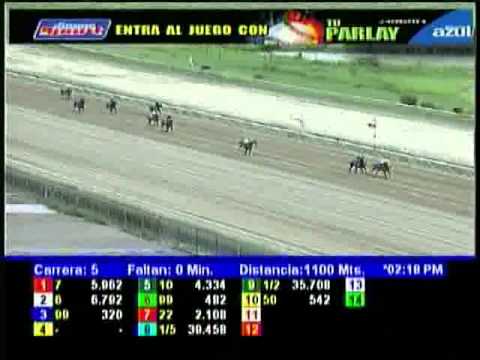 Resumen Sabado, 11 de Agosto de 2012 - La Rinconada