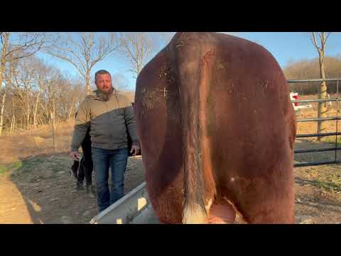 Rufus educational winter coat 