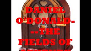 DANIEL O&#39;DONALD   THE FIELDS OF ATHENRY