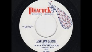 "JUST LIKE A DOG"  WILLIE MAY "BIG MAMA" THORNTON  PEACOCK 45-1681 P.1957 USA