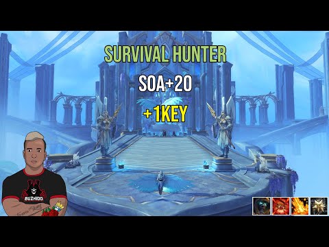 Spires Of Ascension Mythic+20 +1key SURVIVAL Hunter 275 Ilvl