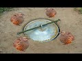 Creative DIY Quail Bird Trap Using Pot Cover