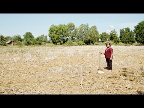 "Hidden Photos" - Trailer - EN