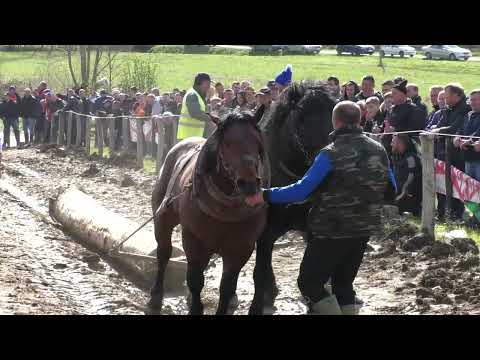 -Dušanić i Tomo Novakovic (Jadran i Dorat) uparivali u lakoj Mravice -
