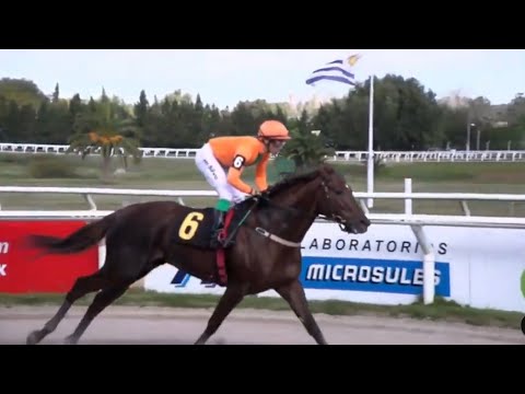 APACHE CAT - Clasico UBALDO SERÉ