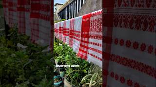 Download lagu Morom r bihuwan 🌿 #gamusa #assam mp3