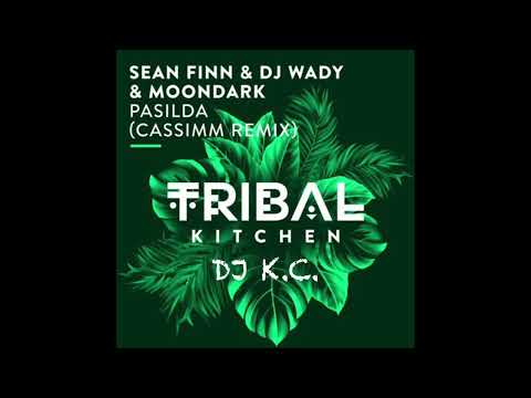 Pasilda (feat. moondark) Sean finn & dj wady