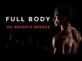 Full Body for Beginners (No Weights Needed)