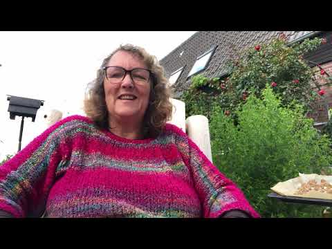 Artemisia annua für die Tiere