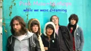 Pink Mountaintops - While we were Dreaming lyrics