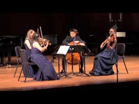 Grieg: String Quartet in G minor, Op. 27, Movement I, Un poco andante - Allegro molto ed agitato