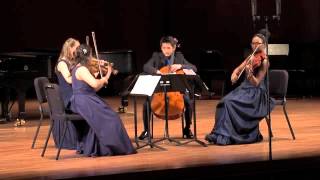 Grieg: String Quartet in G minor, Op. 27, Movement I, Un poco andante - Allegro molto ed agitato