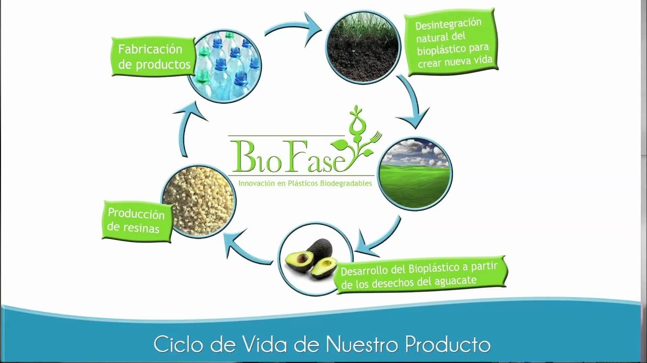 BIOFASE, Innovación en Plásticos Biodegradables
