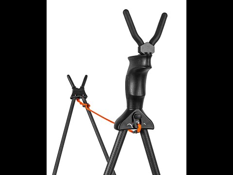 Blaser Carbon Zielstock 2.0