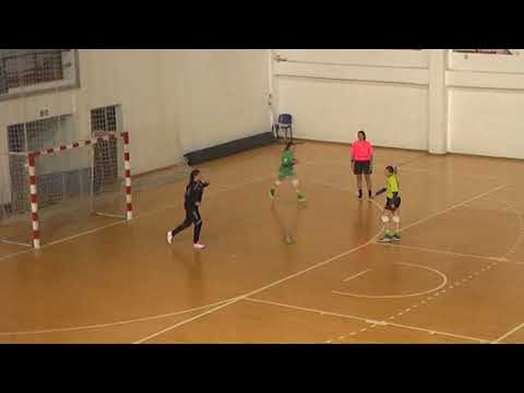 ZRK Vlasotince - ZRK Radan Lebane 31:19,  novembar 2020.