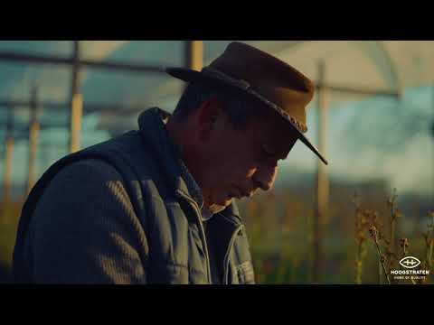 Coöperatie Hoogstraten - bedrijfsfilm