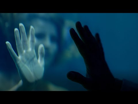 OXA – Harrove