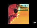 Shaggy - Woman A Pressure Me.