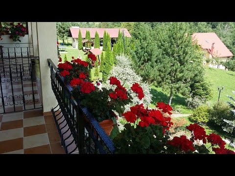 Pensiunea Casa Vero  -  Bucovina