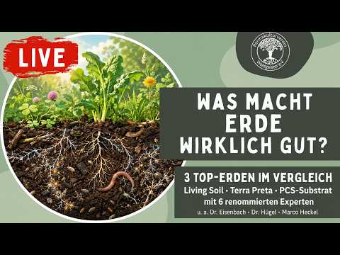 Die besten Erden im Expertenvergleich: 3 herausragende Böden