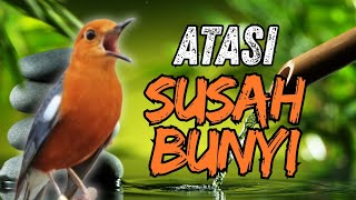 Download lagu LANGSUNG NYAUT 10000 % ‼️ ANIS MERAH MACET BUNYI JIKA DENGAR SUARA INI PASTI NYAUT LANJUT GACOR | 28 mp3