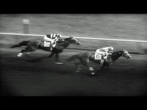 HD Stock Footage Chicago Horse Racing 'Black Sheep' Beats 'Riden'