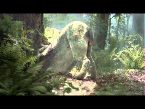 WONDER WORLD FUR - CASE