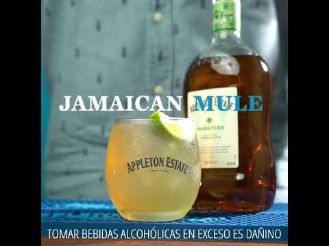 JAMAICAN MULE