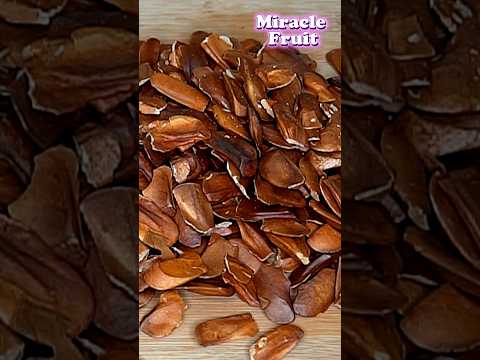 Miracle Fruit For Diabetics #skyfruit #sugarbadam #shorts #shortsfeed #shortvideo #viral #diabetes