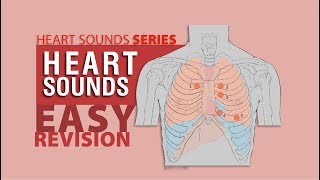 Complete Heart Sounds In 7 minutes - with Heart Sounds Audio